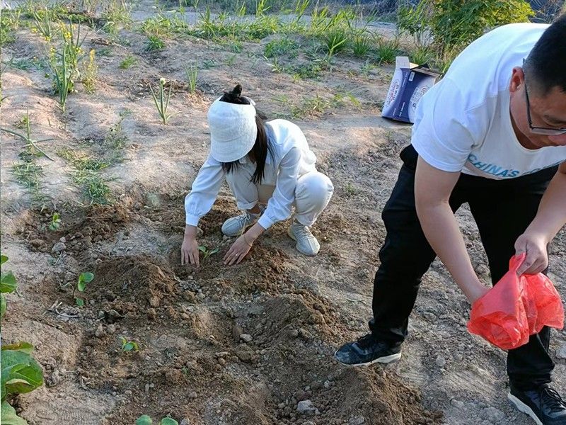 五一五四系列活動(dòng)勞動(dòng)